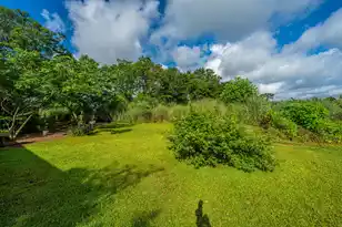 1342 1st Bend Rd, Harleyville, SC 29448 - Photo 65