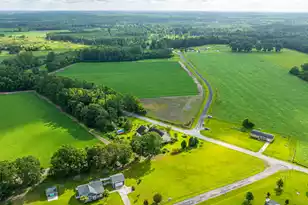 1342 1st Bend Rd, Harleyville, SC 29448 - Photo 109