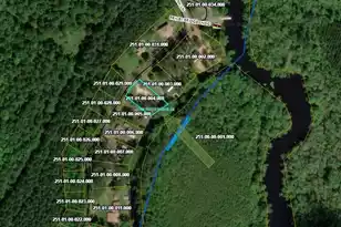 3323 Prices Bridge Ln, Walterboro, SC 29488 - Photo 5