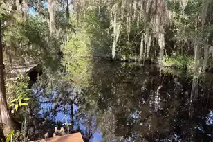 3323 Prices Bridge Ln, Walterboro, SC 29488 - Photo 9