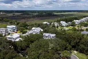1705 Ancient Oaks Ln, Johns Island, SC 29455 - Photo 71