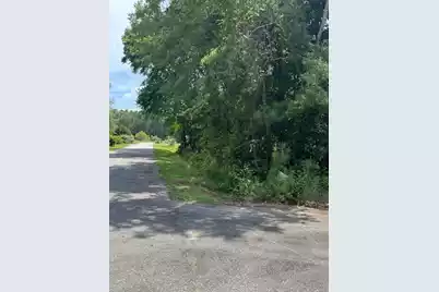 00 Rutledge Drive, Eutawville, SC 29048 - Photo 11