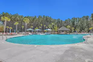 336 Dahlia Row Dr, Summerville, SC 29486 - Photo 45