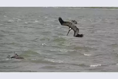 325 Seabrook Island Road, Seabrook Island, SC 29455 - Photo 15