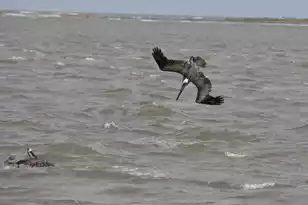 325 Seabrook Island Rd, Seabrook Island, SC 29455 - Photo 15