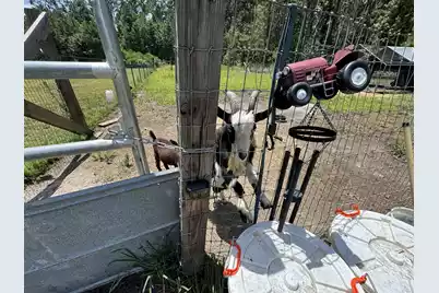 661 Woodrow Road, Estill, SC 29918 - Photo 35