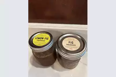 8488 Middleton Point Lane, Edisto Island, SC 29438 - Photo 85