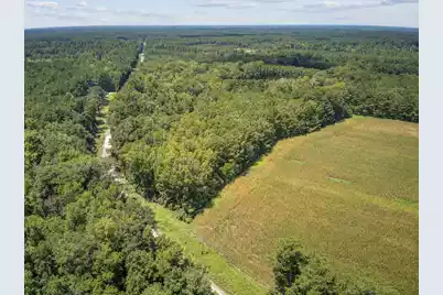 Lot 6 Hill Branch Road, Ridgeville, SC 29472 - Photo 3