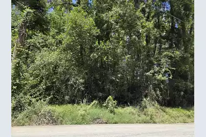 Lot 6 Hill Branch Road, Ridgeville, SC 29472 - Photo 1