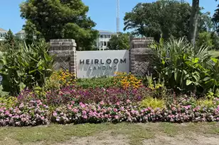 1470 Tomato Farm Cir, Mount Pleasant, SC 29464 - Photo 3