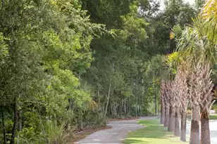 2324 Minifarm Wy, Mount Pleasant, SC 29466 - Photo 43