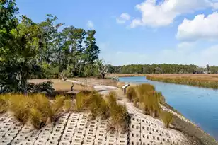 301 Longshore St, Charleston, SC 29492 - Photo 85