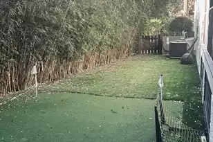 1208 Cadberry Ct, Mount Pleasant, SC 29464 - Photo 5