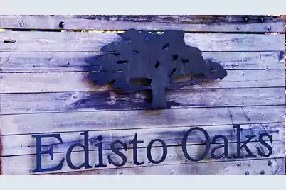 57 Seaside Road, Edisto Island, SC 29438 - Photo 1