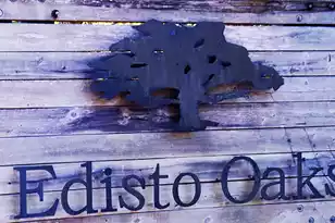 57 Seaside Rd, Edisto Island, SC 29438 - Photo 1