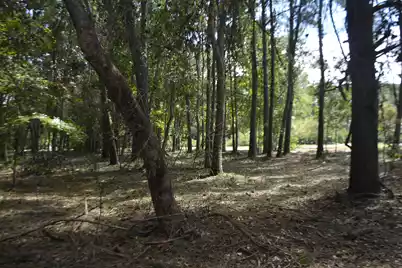 57 Seaside Road, Edisto Island, SC 29438 - Photo 9