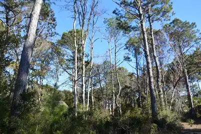 61 Osprey Road, Edisto Island, SC 29438 - Photo 19