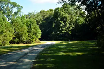 61 Osprey Road, Edisto Island, SC 29438 - Photo 25