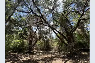 11473 Fraser Street S, Georgetown, SC 29440 - Photo 5