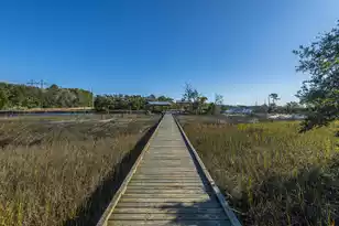 3984 Berberis Ln, Ravenel, SC 29470 - Photo 57