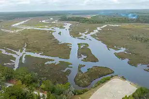 3984 Berberis Ln, Ravenel, SC 29470 - Photo 61