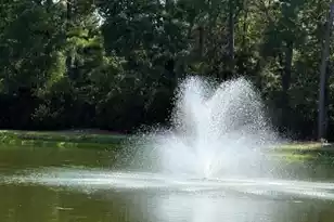 1214 Apex Ln, Charleston, SC 29412 - Photo 21