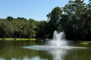 1214 Apex Ln, Charleston, SC 29412 - Photo 23