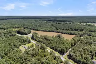 0000 Sc-61, Ridgeville, SC 29472 - Photo 1