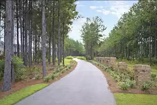 274 Overcup Loop, Summerville, SC 29486 - Photo 41