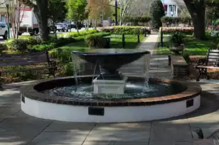 314 Hickory Street N, Summerville, SC 29483 - Photo 29