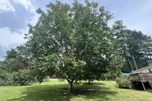 1156 A Gamble Road W, Manning, SC 29102 - Photo 11