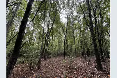 0000 State Rd S-6-169, Williston, SC 29853 - Photo 7