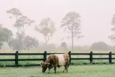 5015 Saltspray Lane, Johns Island, SC 29455 - Photo 61