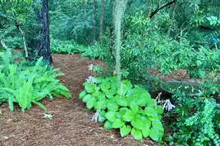 4278 Home Town Ln, Ravenel, SC 29470 - Photo 45