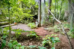 4278 Home Town Ln, Ravenel, SC 29470 - Photo 55