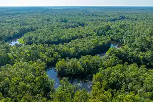 676 Public Lndg Ln, Yemassee, SC 29945 - Photo 175
