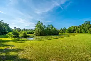 676 Public Lndg Ln, Yemassee, SC 29945 - Photo 137