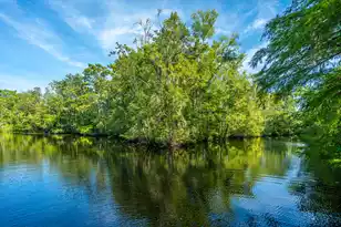 676 Public Lndg Ln, Yemassee, SC 29945 - Photo 167