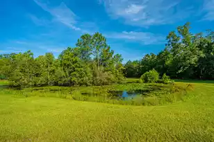 676 Public Lndg Ln, Yemassee, SC 29945 - Photo 141