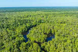 676 Public Lndg Ln, Yemassee, SC 29945 - Photo 171