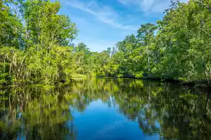 676 Public Lndg Ln, Yemassee, SC 29945 - Photo 163