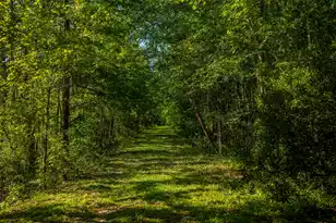 676 Public Lndg Ln, Yemassee, SC 29945 - Photo 139