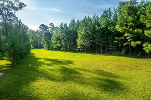 676 Public Lndg Ln, Yemassee, SC 29945 - Photo 125