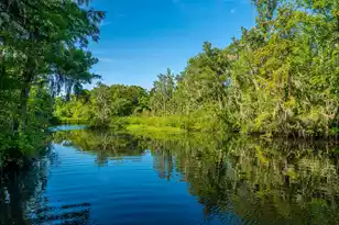 676 Public Lndg Ln, Yemassee, SC 29945 - Photo 165