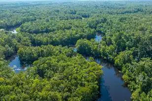 676 Public Lndg Ln, Yemassee, SC 29945 - Photo 177