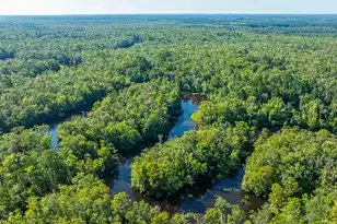 676 Public Lndg Ln, Yemassee, SC 29945 - Photo 173