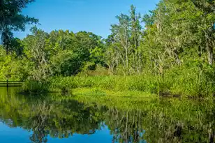 676 Public Lndg Ln, Yemassee, SC 29945 - Photo 159