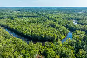 676 Public Lndg Ln, Yemassee, SC 29945 - Photo 179