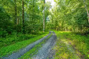 676 Public Lndg Ln, Yemassee, SC 29945 - Photo 127