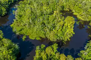 676 Public Lndg Ln, Yemassee, SC 29945 - Photo 169